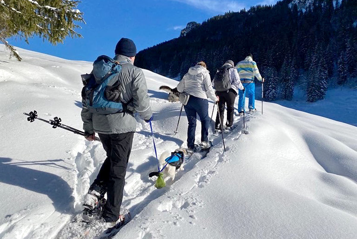 Schneeschuhtour Rohrmoos