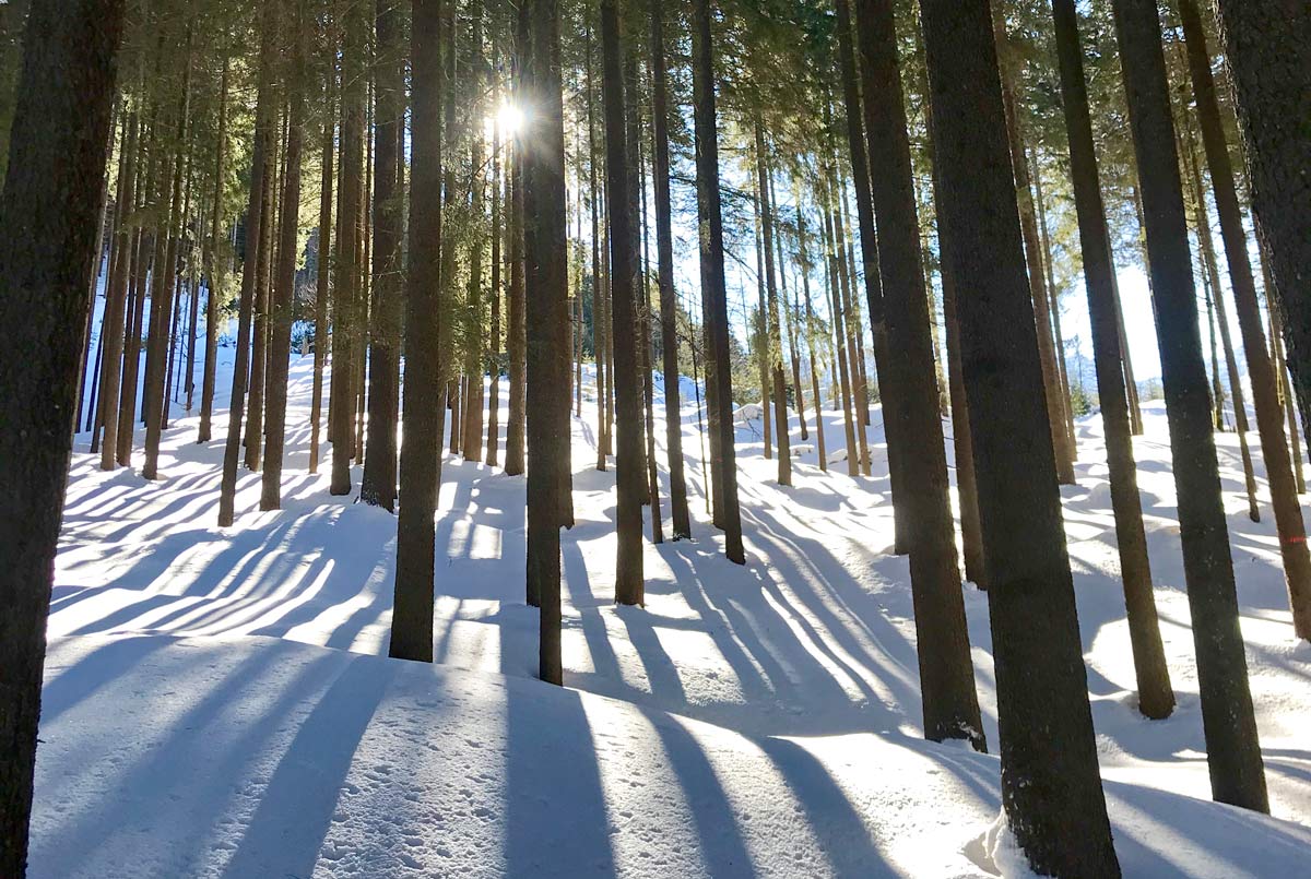 Entspannte Schneeschuhtour Birgsau im Allgäu