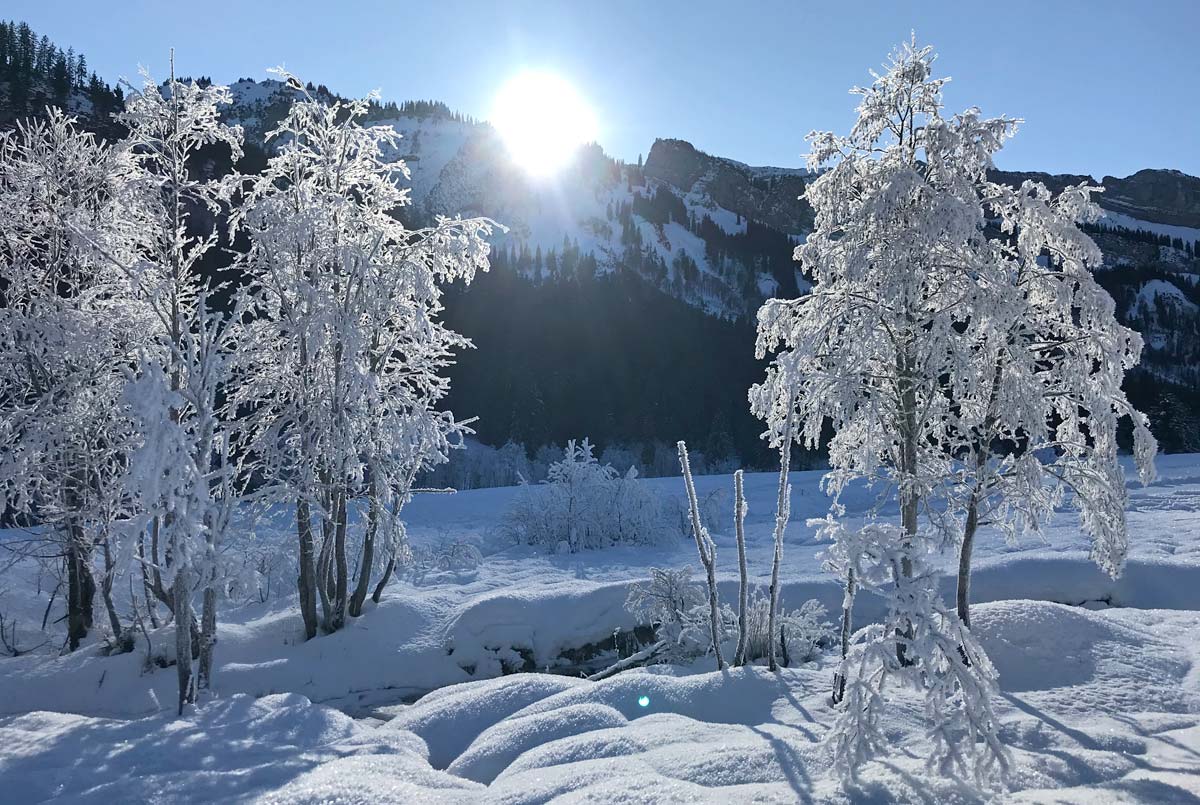 Rohrmoos - geführte Schneeschuhwanderung