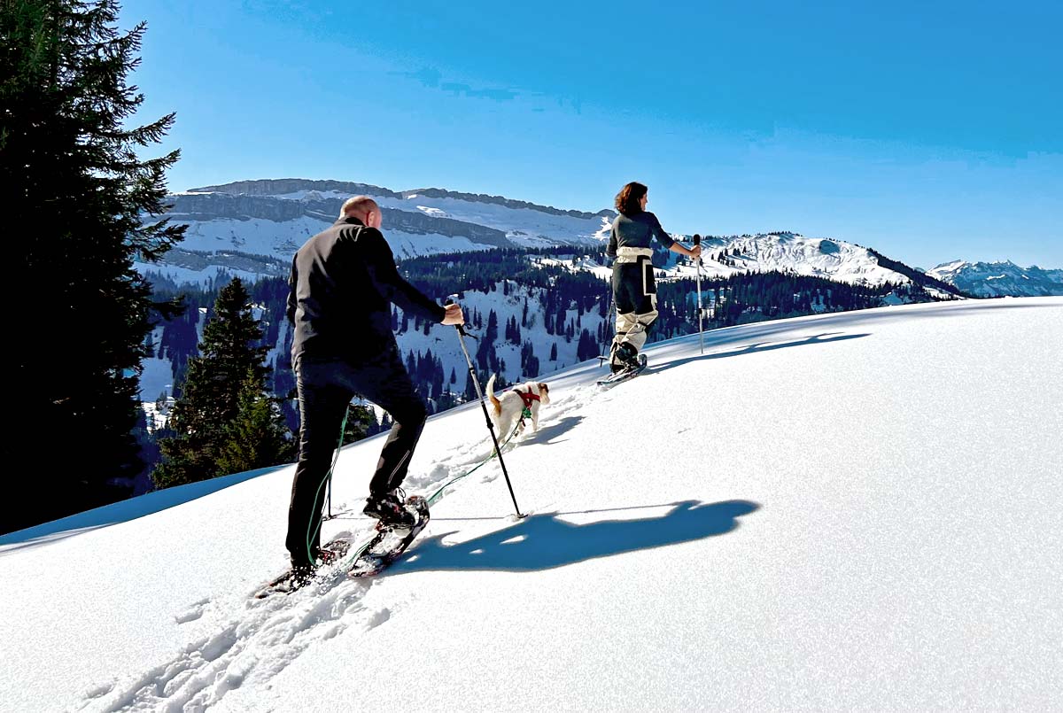 Schneeschuhtour in Rohrmoos mit Leihausrüstung